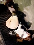 完美露臉SS級魔鬼身材終極美穴上流明星級反差婊RosesJoo私拍金主的玩物戶外露出雙飛調教